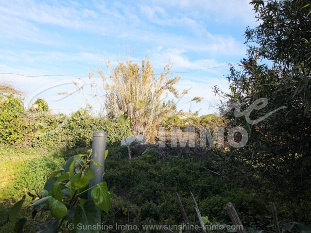 Photo of property SI1729, 4 de 39