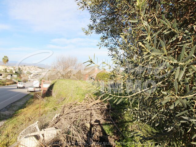 Photo of property SI1729, 5 de 39