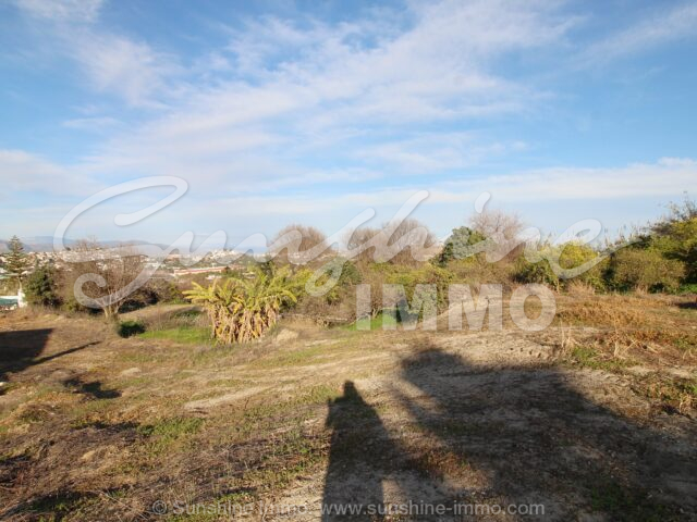 Photo of property SI1729, 29 de 39