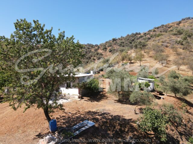 Foto de la propiedad SI1830, 12 de 27