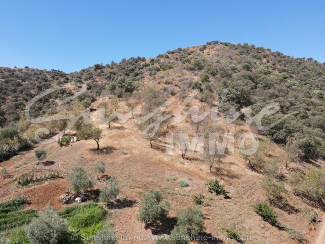 Foto de la propiedad SI1830, 16 de 27