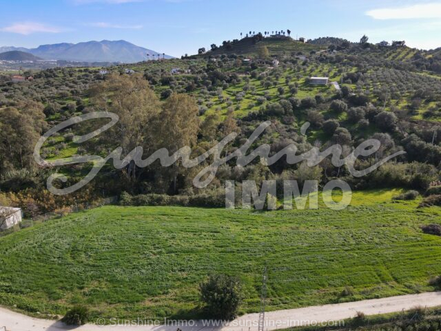 Photo of property SI1857, 6 de 56