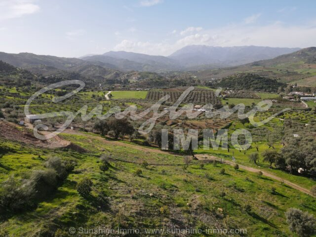 Photo of property SI1864, 20 de 23