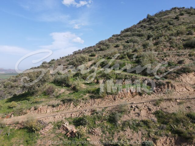 Photo of property SI1864, 9 de 23