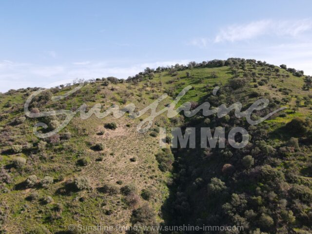 Photo of property SI1864, 14 de 23