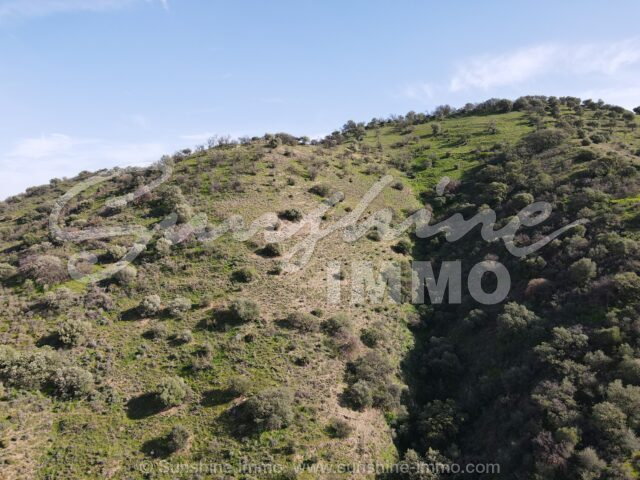 Photo of property SI1864, 12 de 23