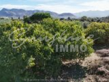 Photo of property SI1921, 8 de 43