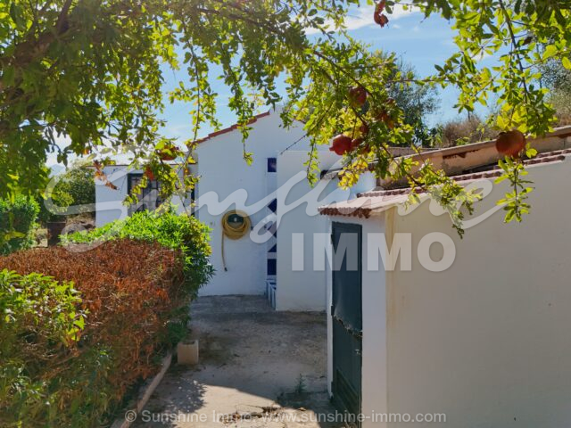Photo of property SI1921, 14 de 43