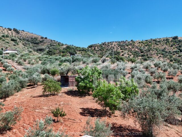 Photo of property SI1953, 8 de 38
