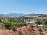 Photo of property SI1953, 9 de 38