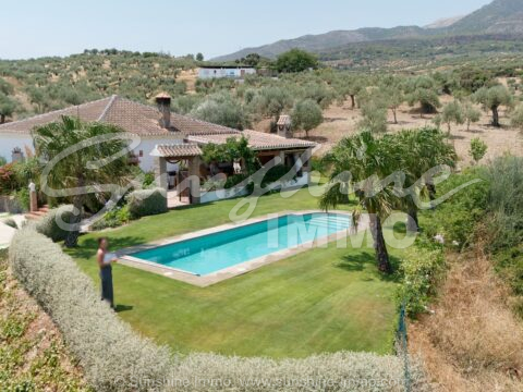 Exklusive Pferdefinca mit Salzwasserpool auf 11.000 m² in Alozaina 